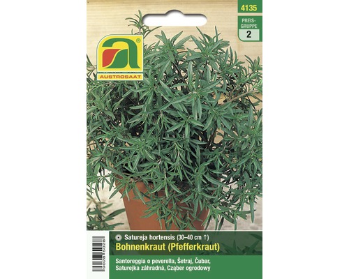Samenpackung Bohnenkraut