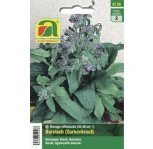 Borretsch Gurkenkraut Samenpackung