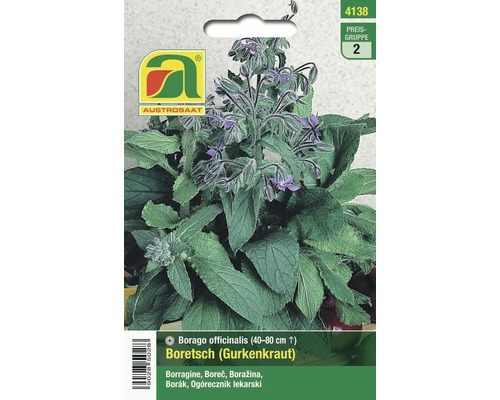 Borretsch Gurkenkraut Samenpackung