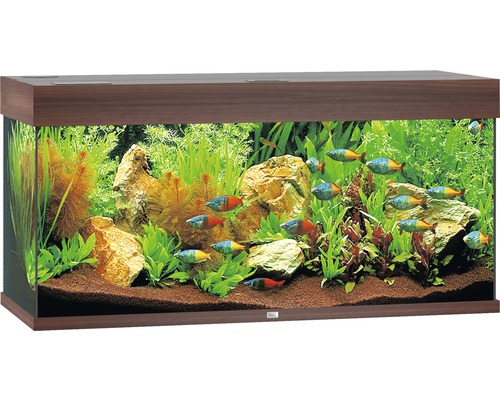 Aquarium JUWEL Rio 180 mit LED-Beleuchtung, Pumpe, Filter, Heizer ohne Unterschrank dunkles Holz