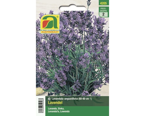 Kräutersamen Austrosaat 'Lavendel'
