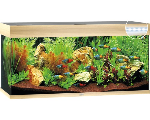 Aquarium JUWEL Rio 180 mit LED-Beleuchtung, Pumpe, Filter, Heizer ohne Unterschrank helles Holz