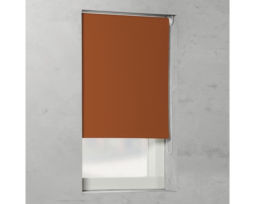 Soluna Verdunkelungsrollo V17, uni terra, 60x190 cm Soluna Verdunkelungsrollo V17, uni terra, 60x190 cm