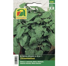 Packung Zitronenmelisse Samen von Austrosaat