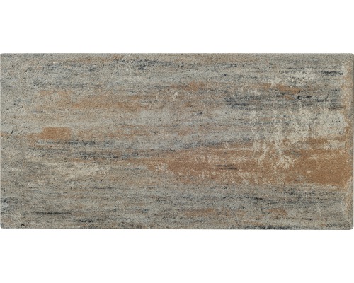 Pflasterstein mit Steinoptik