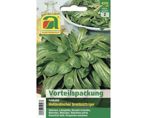 Gemüsesamen Austrosaat Vogerlsalat 'Holländischer Breitblättriger'