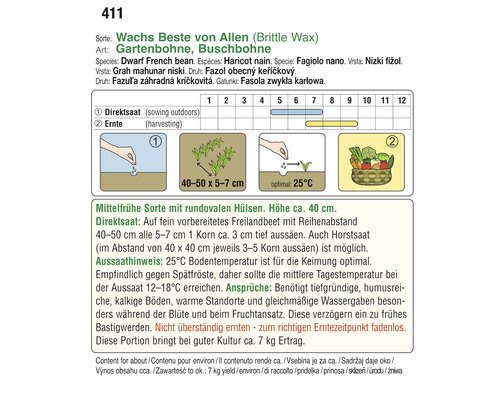 Informationen zu Anbau und Ernte von Gartenbohnen