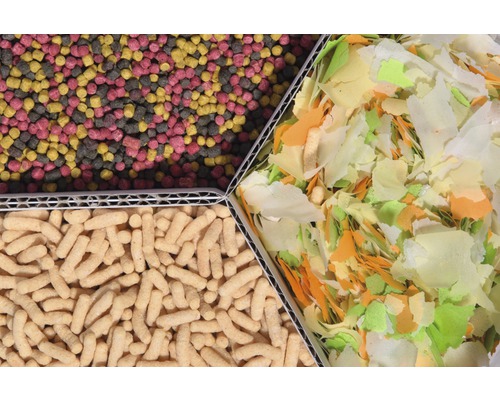 Verschiedenes Fischfutter, darunter Flocken, Sticks und Granulat