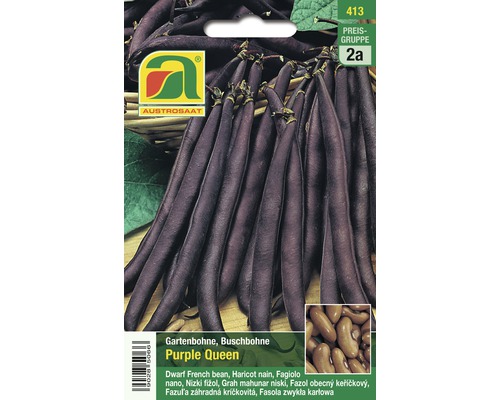 Gemüsesamen Austrosaat Buschbohne 'Purple Queen'