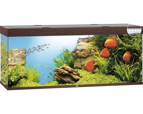 Aquarium JUWEL Rio 450 mit LED-Beleuchtung, Pumpe, Filter, Heizer ohne Unterschrank dunkles Holz Aquarium JUWEL Rio 450 mit LED-Beleuchtung, Pumpe, Filter, Heizer ohne Unterschrank dunkles Holz