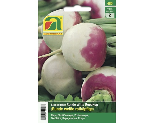 Gemüsesamen Austrosaat Herbstrübe 'Ronde Witte Roodkop'
