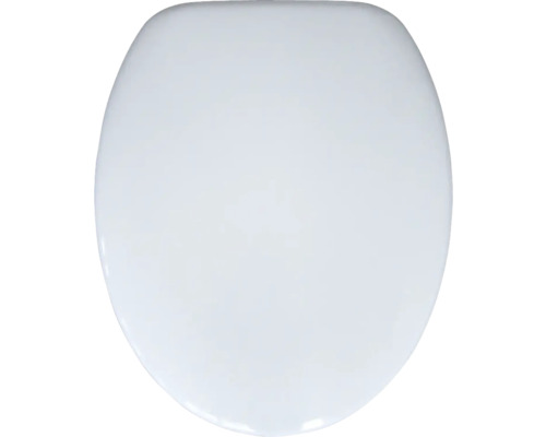Toilettendeckel