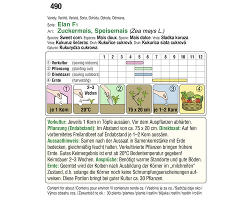 Informationen zum Anbau von Zuckermais