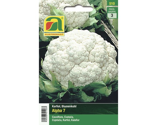 Gemüsesamen Austrosaat Karfiol 'Alpha 7'
