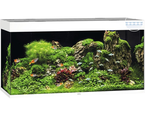 Aquarium JUWEL Rio 350 mit LED-Beleuchtung, Pumpe, Filter, Heizer ohne Unterschrank weiß