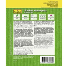 Blumensamenpackung Scabiosa atropurpurea Mammut-Mix