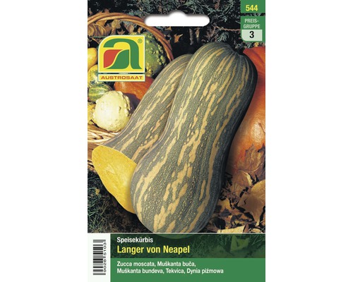 Gemüsesamen Austrosaat Kürbis Langer von 'Neapel'