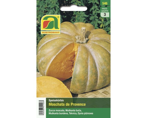 Gemüsesamen Austrosaat Kürbis 'Moschata de Provence'