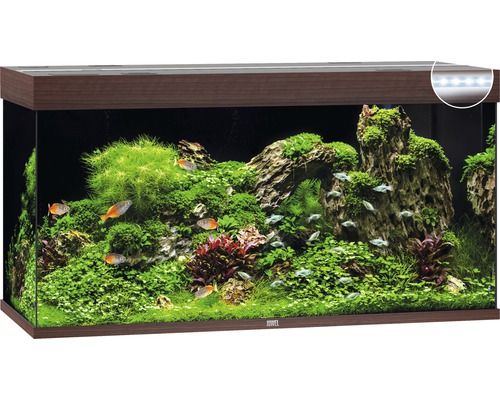 Juwel Aquarium mit Pflanzen und Fischen