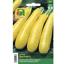 Gemüsesamen Austrosaat Zucchini 'Gold Rush F1'-thumb-0
