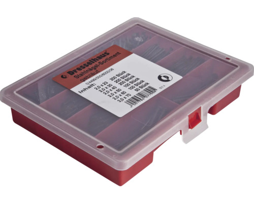 Dresselhaus Stahlnägel Sortiment in Sortierbox