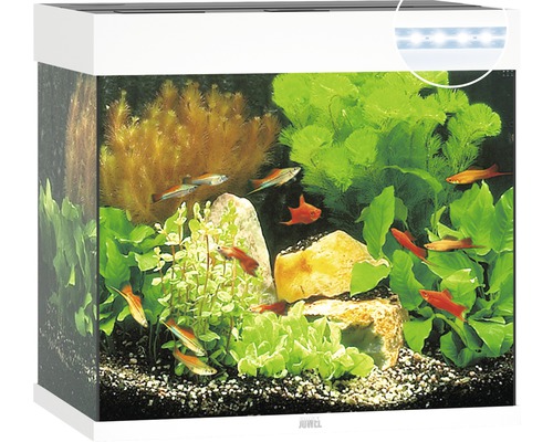Aquarium JUWEL Lido 120 mit LED-Beleuchtung, Pumpe, Filter, Heizer ohne Unterschrank weiß