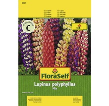 Lupine FloraSelf samenfestes Saatgut Blumensamen-thumb-0