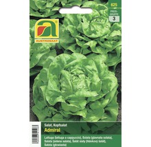 Kopfsalat Admiral Saatgutpackung