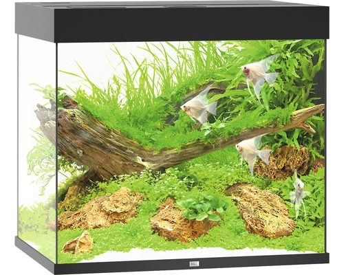 Aquarium JUWEL Lido 200 mit LED-Beleuchtung, Pumpe, Filter, Heizer ohne Unterschrank schwarz