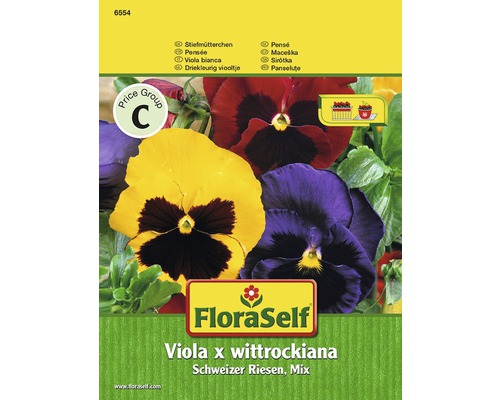 FloraSelf Viola x wittrockiana Schweizer Riesen, Mix Samenpackung