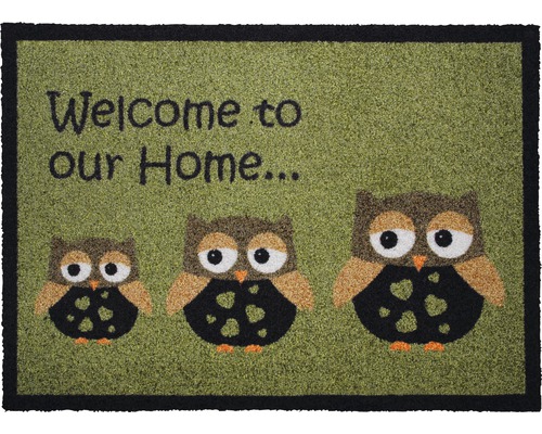 Schmutzfangmatte Owl green Creation 50x70 cm