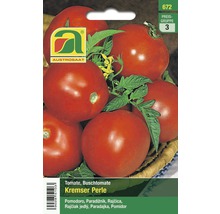 Samenpackung Buschtomate Kremser Perle