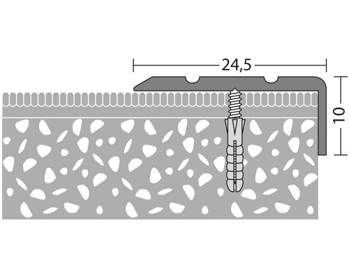 Skizze eines Abschlussprofils mit Schraube und Dübel, Maße 24,5 x 10 mm