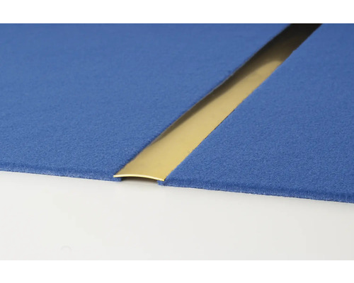 Übergangsprofil zwischen zwei blauen Teppichböden