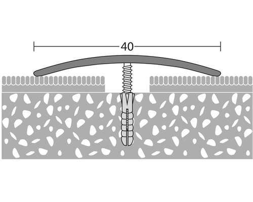 Befestigungsprofil mit Schraube und Dübel, 40 Millimeter