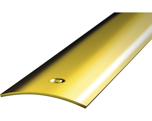 Prinz Übergangsprofil Ferro-Messing gelocht 40 x 1000 mm Profilschiene aus Metall mit Befestigungsbohrung