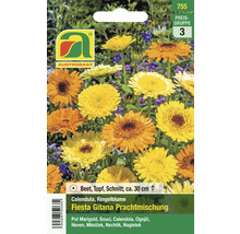 Samenpackung Ringelblume Fiesta Gitana Prachtmischung