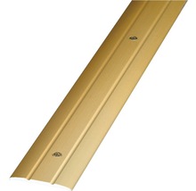 Goldfarbene Übergangsschiene mit Schrauben