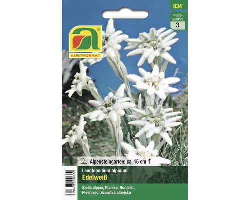 Blumensamen Austrosaat 'Alpen-Edelweiß'