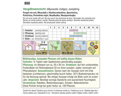 Informationen zur Aussaat von zweijährigen Vergissmeinnicht Pflanzen