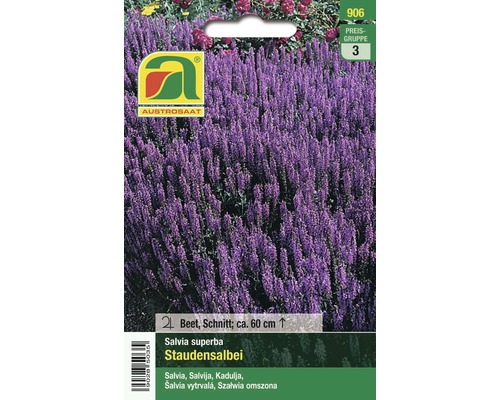 AUSTROSAAT Staudensalbei Samenpackung