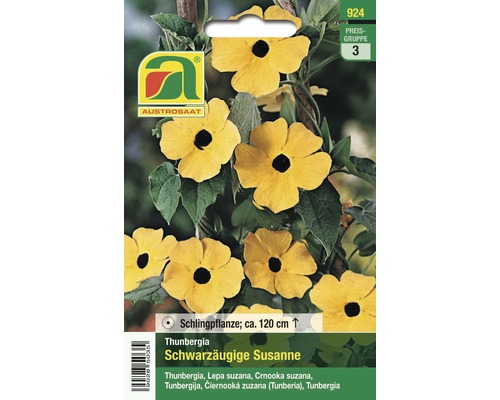 Blumensamen Austrosaat Thunbergia 'Schwarzäugige Susanne gelb'