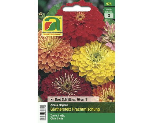 Blumensamen Austrosaat Zinnia 'Gärtnerstolz Mischung'