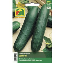 Salatgurke Lothar F1 Samenpackung