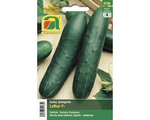 Gemüsesamen Austrosaat Salatgurke 'Lothar F1'