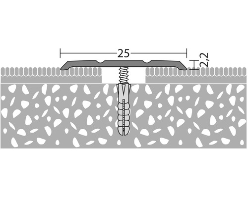 Profilschiene mit Schraube und Dübel zur Bodenbefestigung, Maßangaben 25 und 2,2