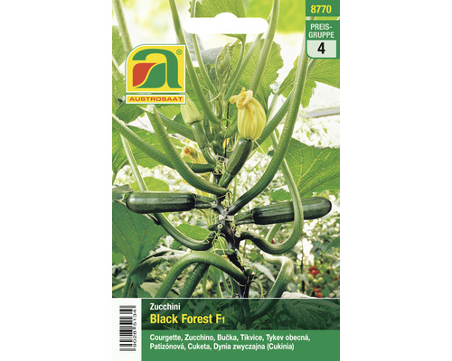 Gemüsesamen Austrosaat Zucchini Black Forest F1