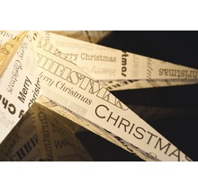 Dekostern mit der Aufschrift Frohe Weihnachten