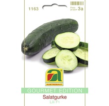 Salatgurke Lili F1 Saatgutpackung