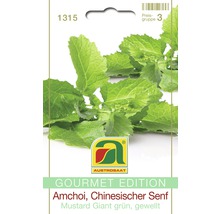 Samenpackung Amchoi, Chinesischer Senf, grüne Sorte